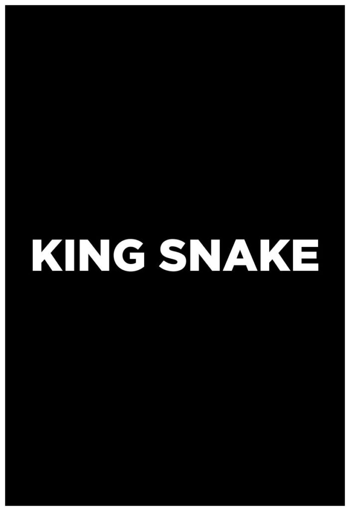 King Snake Poster